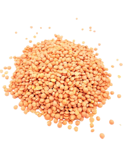 Graines de lentilles corail bio orange - riches en protéines et fibres - Le Bio de Manon Peynier Graines de lentilles corail bio orange - riches en protéines et fibres - Le Bio de Manon Peynier