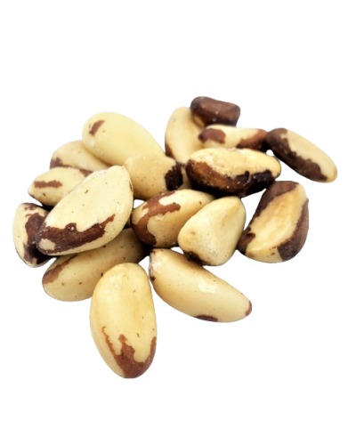 Noix du Brésil bio croquantes et nutritives - Collation gourmande - Le Bio de Manon Peynier