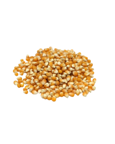 Grains de maïs bio à faire éclater - En-cas léger et savoureux pour vos moments détente - Le Bio de Manon Peynier