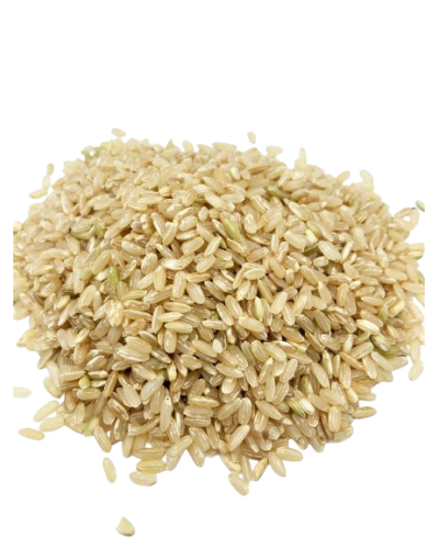 Riz de Camargue IGP complet bio - grains croquants et nutritifs, origine Camargue - Le Bio de Manon Peynier Riz de Camargue IGP complet bio - grains croquants et nutritifs, origine Camargue - Le Bio de Manon Peynier