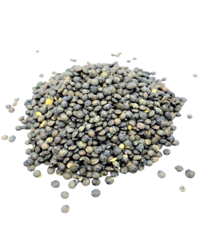Grains de lentilles vertes bio de France - riches en protéines et fibres - Le Bio de Manon Peynier Grains de lentilles vertes bio de France - riches en protéines et fibres - Le Bio de Manon Peynier